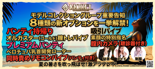 ８種類の新オプションが一斉解禁！